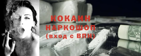 шишки Медвежьегорск