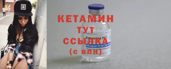 шишки Медвежьегорск