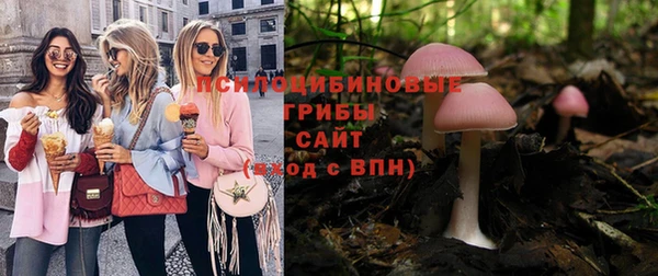 соль курить ск Михайловск