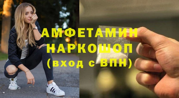 шишки Медвежьегорск
