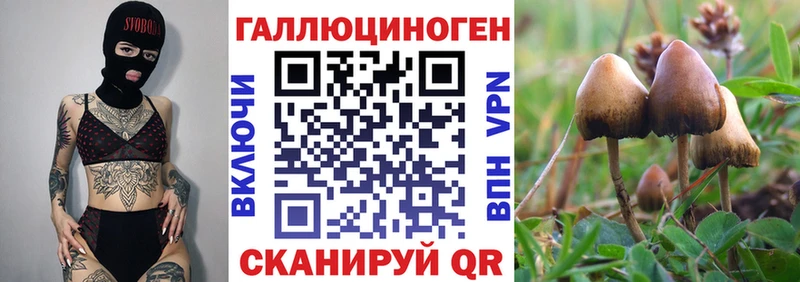 Псилоцибиновые грибы мицелий блэк спрут ONION Лениногорск купить наркоту